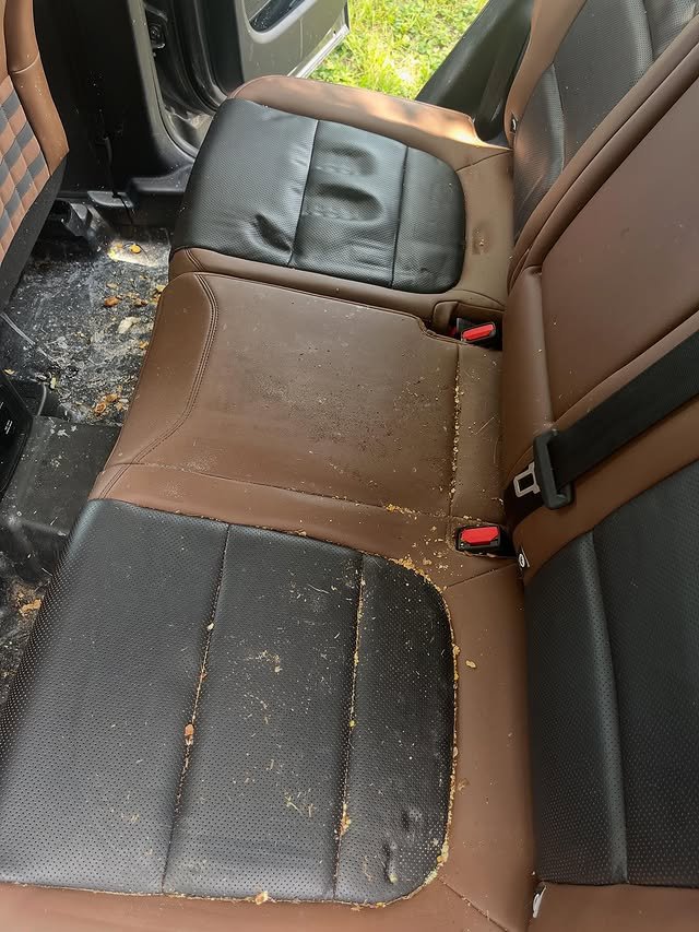 Before Car Detailing