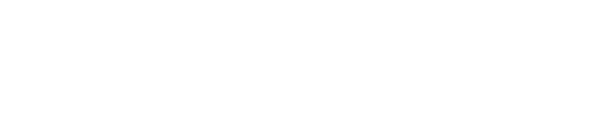 Stealth Luxury Detailing full white logo